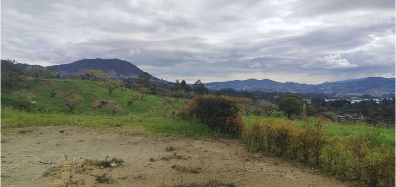 Lote en Venta en La Ceja, La Ceja-2