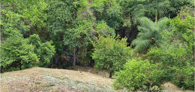 Lote en Venta en San Jerónimo, San Jerónimo-8