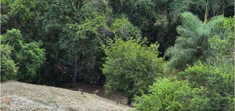 Lote en Venta en San Jerónimo, San Jerónimo-9