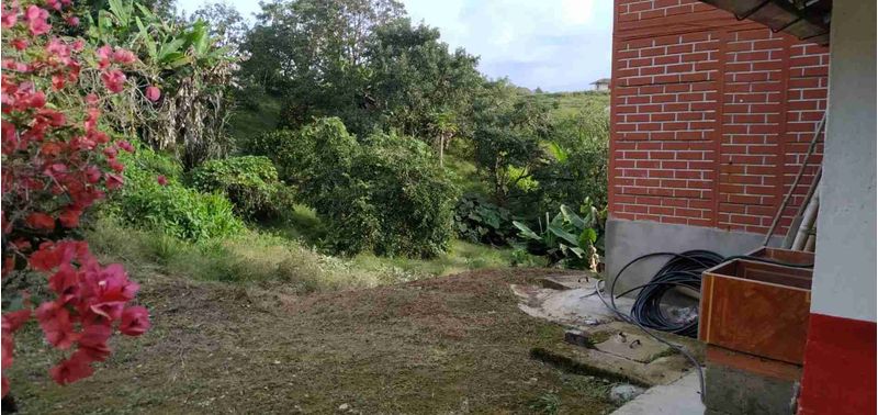 Casa en Venta en Peñol, Peñol-5