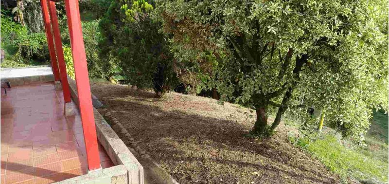 Casa en Venta en Peñol, Peñol-6