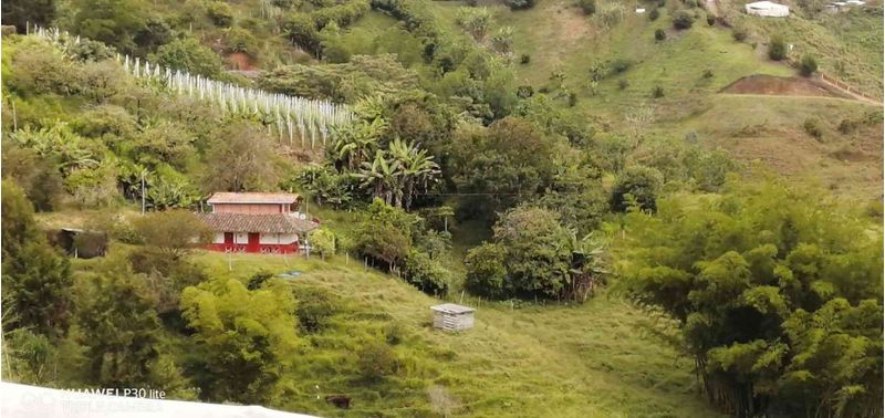 Casa en Venta en Peñol, Peñol-7