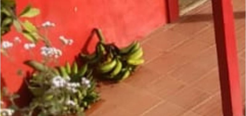 Casa en Venta en Peñol, Peñol-8