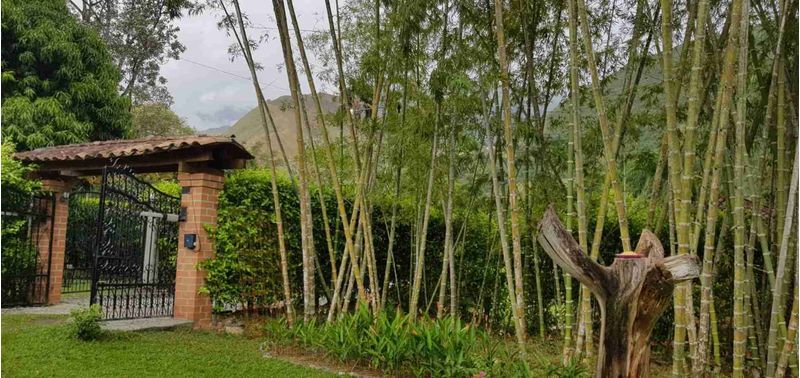 Casa en Venta en San Jerónimo, San Jerónimo-17