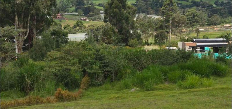 Lote en Venta en La Ceja, La Ceja