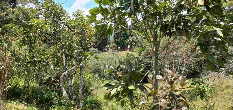 Casa en Venta en Guarne, La Brizuela-3