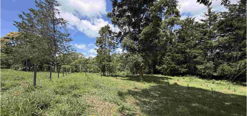 Lote en Venta en La Ceja, Laureles-6