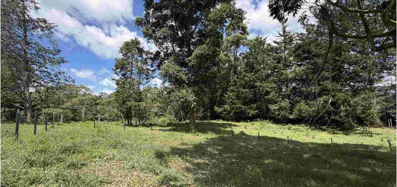 Lote en Venta en La Ceja, Laureles-8
