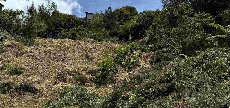 Lote en Venta en Envigado, Loma Del Escobero-3