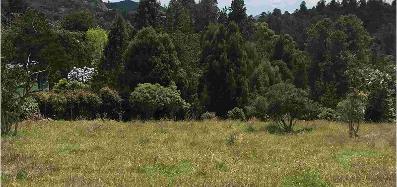 Lote en Venta en Envigado, Alto De Palmas