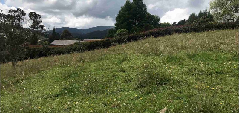 Lote en Venta en Envigado, Alto De Palmas-0