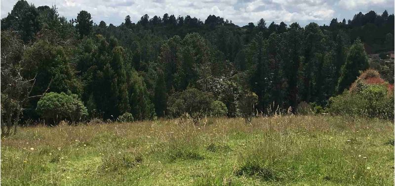 Lote en Venta en Envigado, Alto De Palmas-1