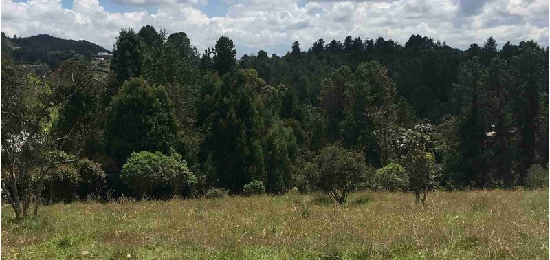 Lote en Venta en Envigado, Alto De Palmas-2