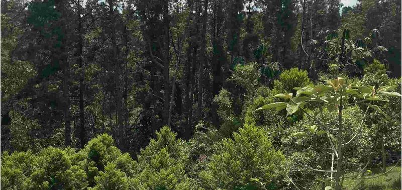 Lote en Venta en Envigado, Alto De Palmas-4