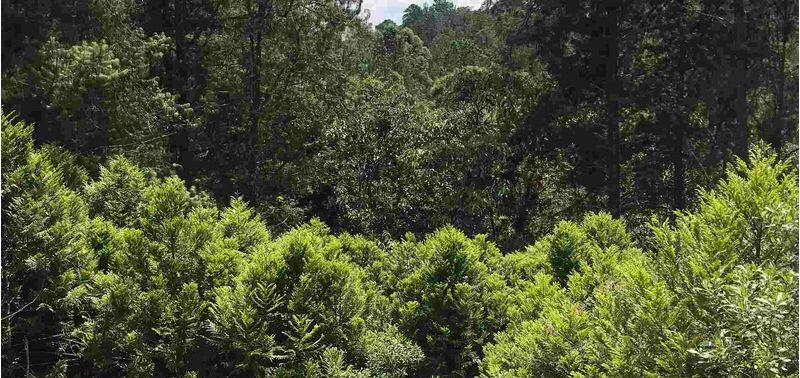 Lote en Venta en Envigado, Alto De Palmas-5