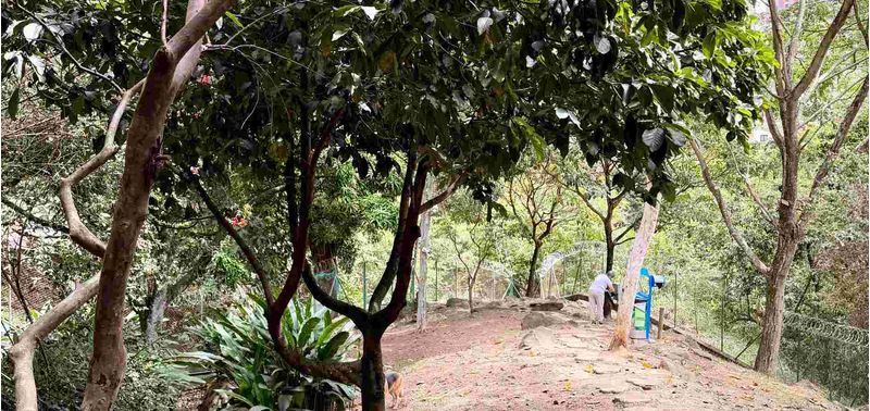 Apartamento en Venta en Bello, Bello-35