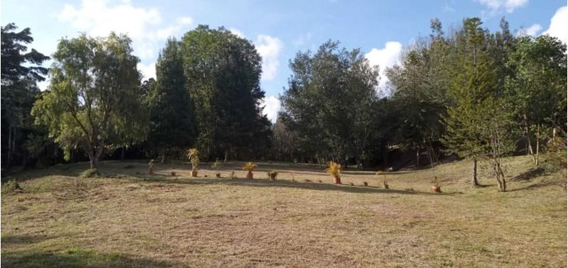 Lote en Venta en Medellín, Las Palmas-0