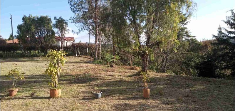 Lote en Venta en Medellín, Las Palmas-4