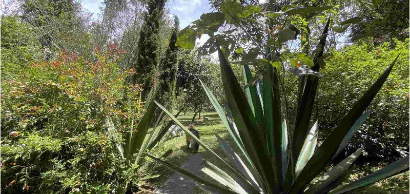 Casa en Venta en Retiro, El Chuscal-24