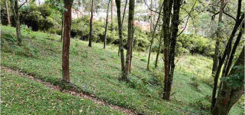 Lote en Venta en Rionegro, Rionegro-5