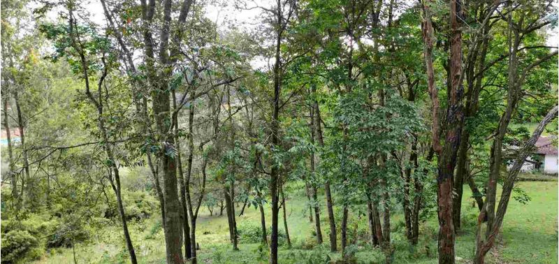 Lote en Venta en Rionegro, Rionegro-7