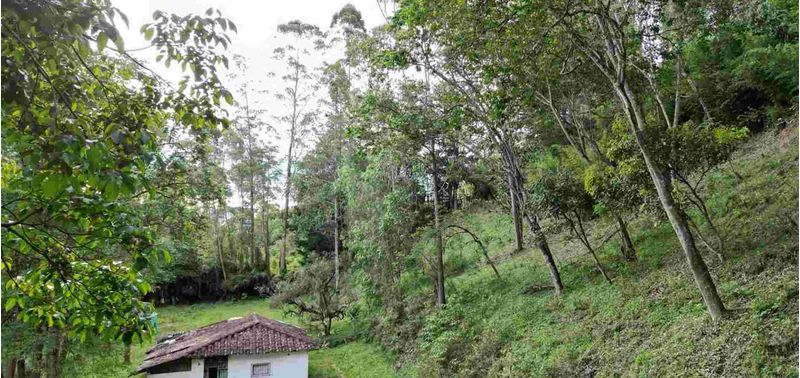 Lote en Venta en Rionegro, Rionegro-8