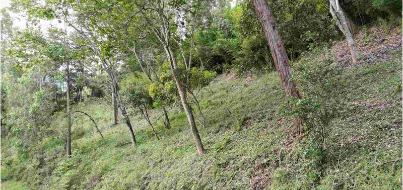 Lote en Venta en Rionegro, Rionegro-10