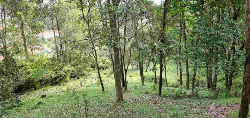 Lote en Venta en Rionegro, Rionegro-11
