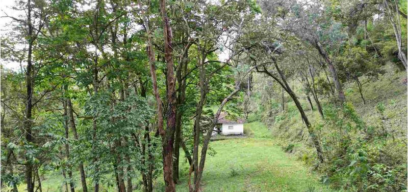 Lote en Venta en Rionegro, Rionegro-12