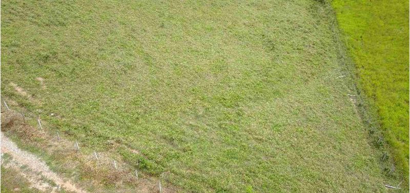 Lote en Venta en Puerto Triunfo, Puerto Triunfo-3