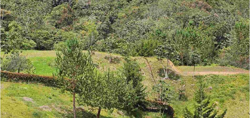 Casa en Venta en La Ceja, La Ceja-19
