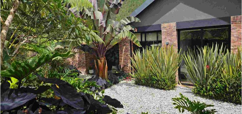 Casa en Venta en La Ceja, La Ceja-21