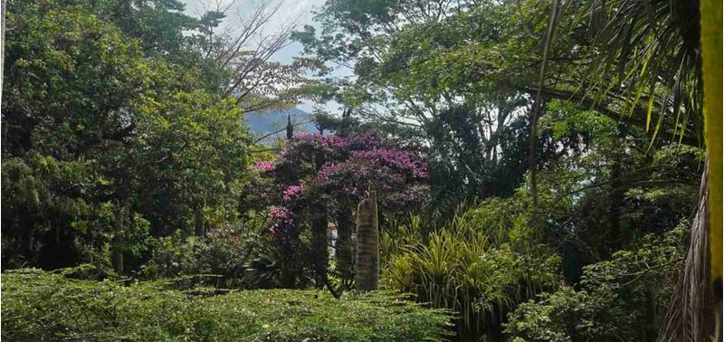 Casa en Venta en Titiribí, Titiribí-28