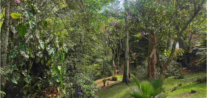 Casa en Venta en Titiribí, Titiribí-30