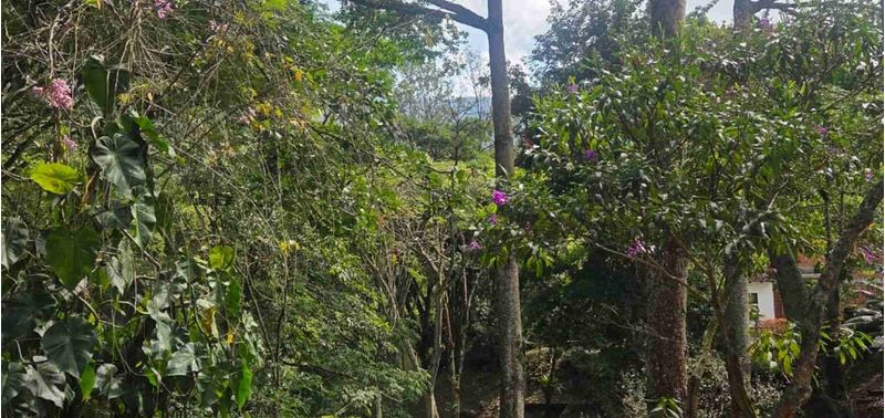 Casa en Venta en Titiribí, Titiribí-36
