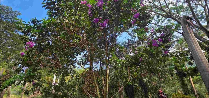 Casa en Venta en Titiribí, Titiribí-44