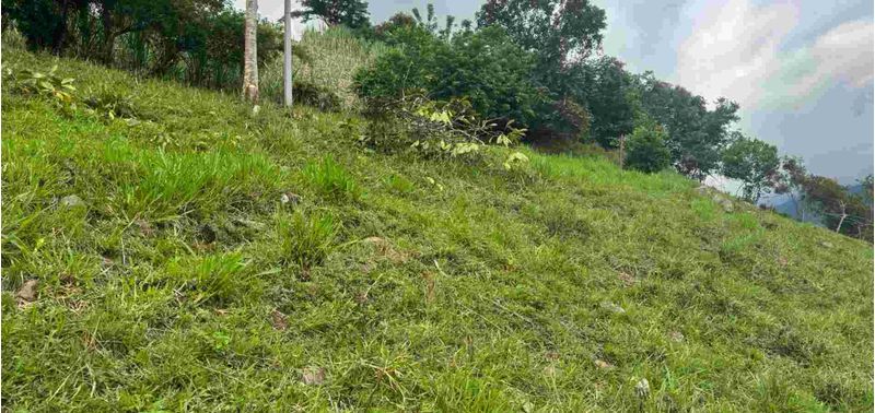 Lote en Venta en Bogotá, D.C., Quebradanegra-1