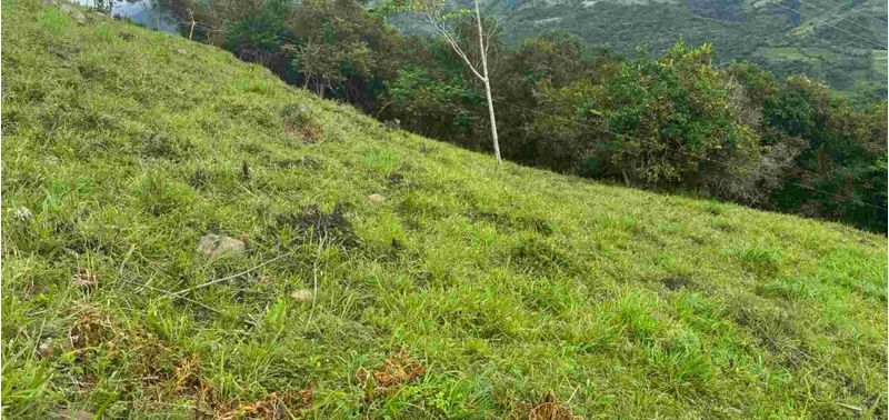 Lote en Venta en Bogotá, D.C., Quebradanegra-4
