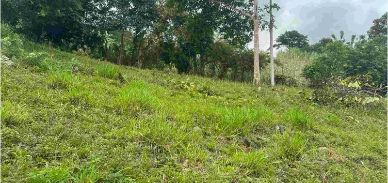 Lote en Venta en Bogotá, D.C., Quebradanegra-5