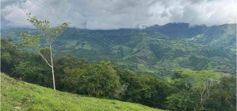 Lote en Venta en Bogotá, D.C., Quebradanegra-7