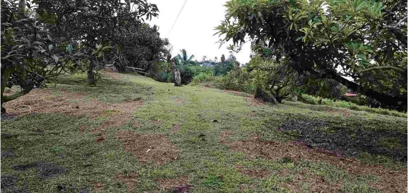 Casa en Venta en Peñol, Peñol-10