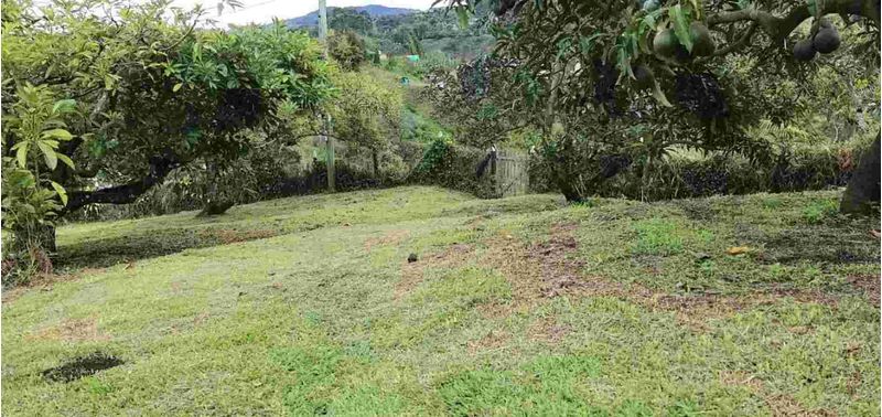 Casa en Venta en Peñol, Peñol-13
