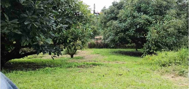 Casa en Venta en Peñol, Peñol-14