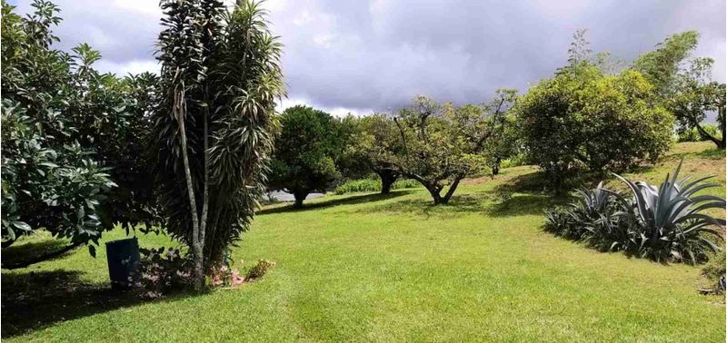 Casa en Venta en Peñol, Peñol-15