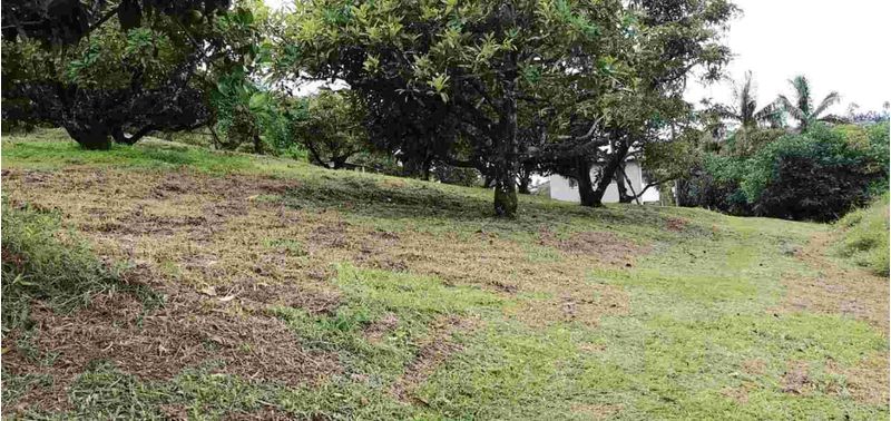 Casa en Venta en Peñol, Peñol-17