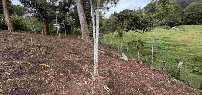 Apartamento en Venta en Guarne, La Clara-0