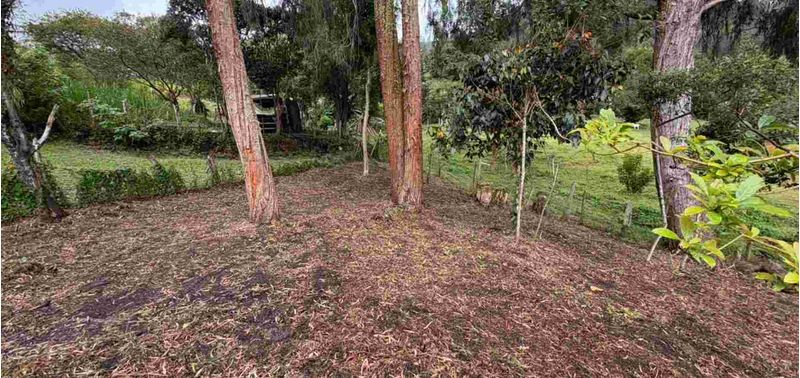 Apartamento en Venta en Guarne, La Clara-3