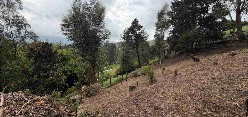 Apartamento en Venta en Guarne, La Clara-5