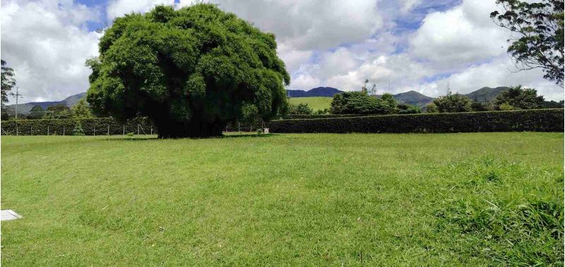 Lote en Venta en El Carmen De Viboral, El Carmen de Viboral