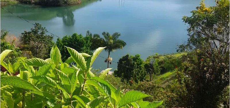Lote en Venta en Peñol, Peñol